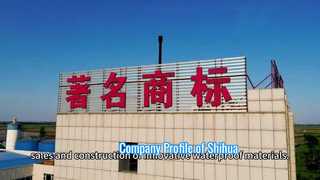 Company Profile of Shihua