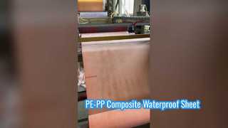 PE-PP Composite Waterproof Sheet